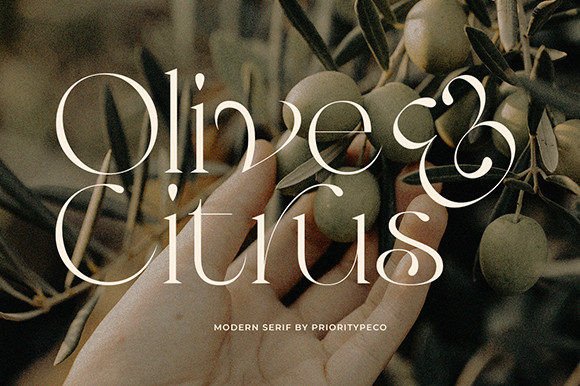 Olive & Citrus: A Serif for Modern Elegance