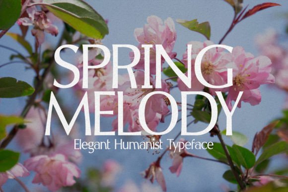 Spring Melody: The Elegant Typeface for Timeless Design